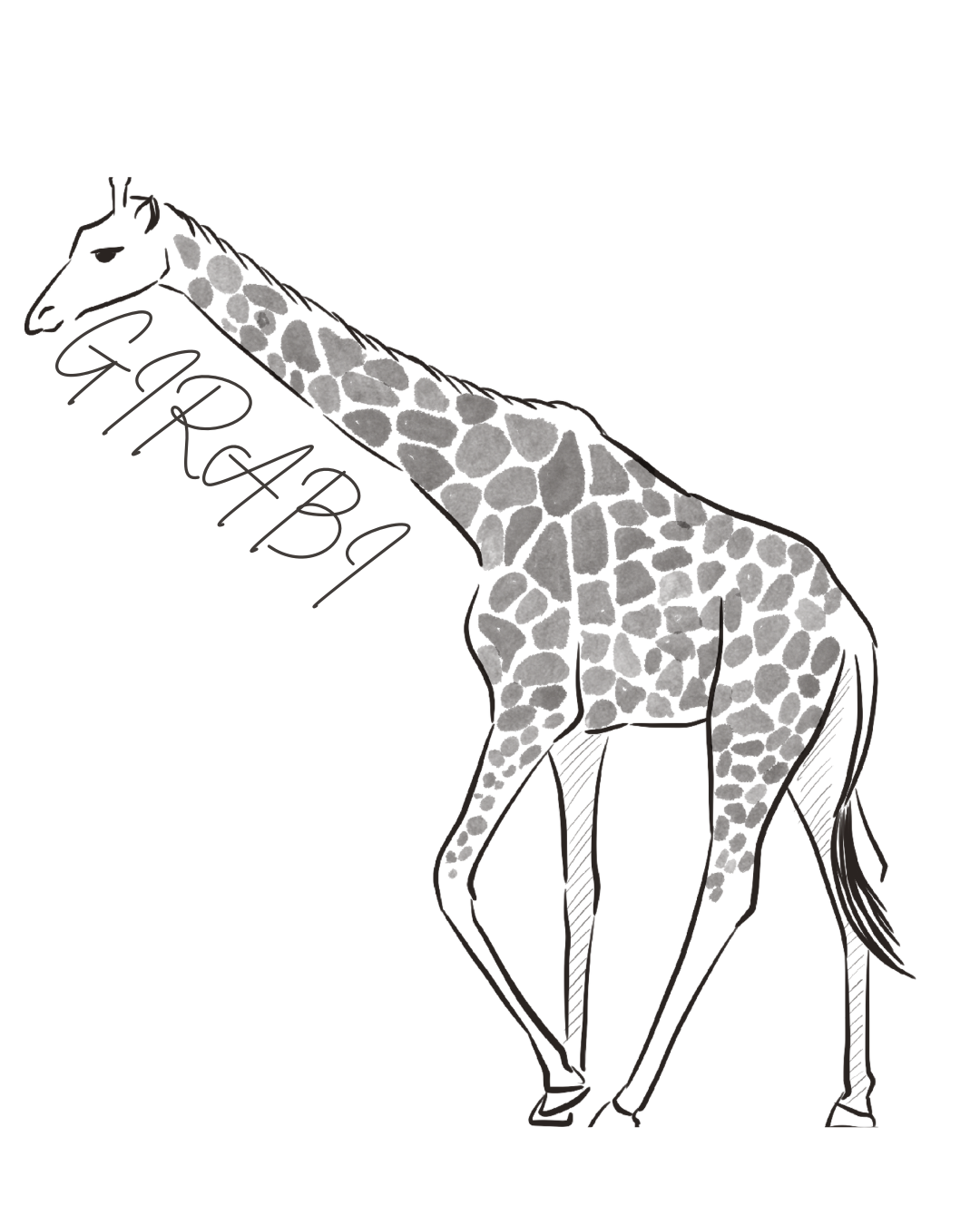 GIRAFFA Motiv